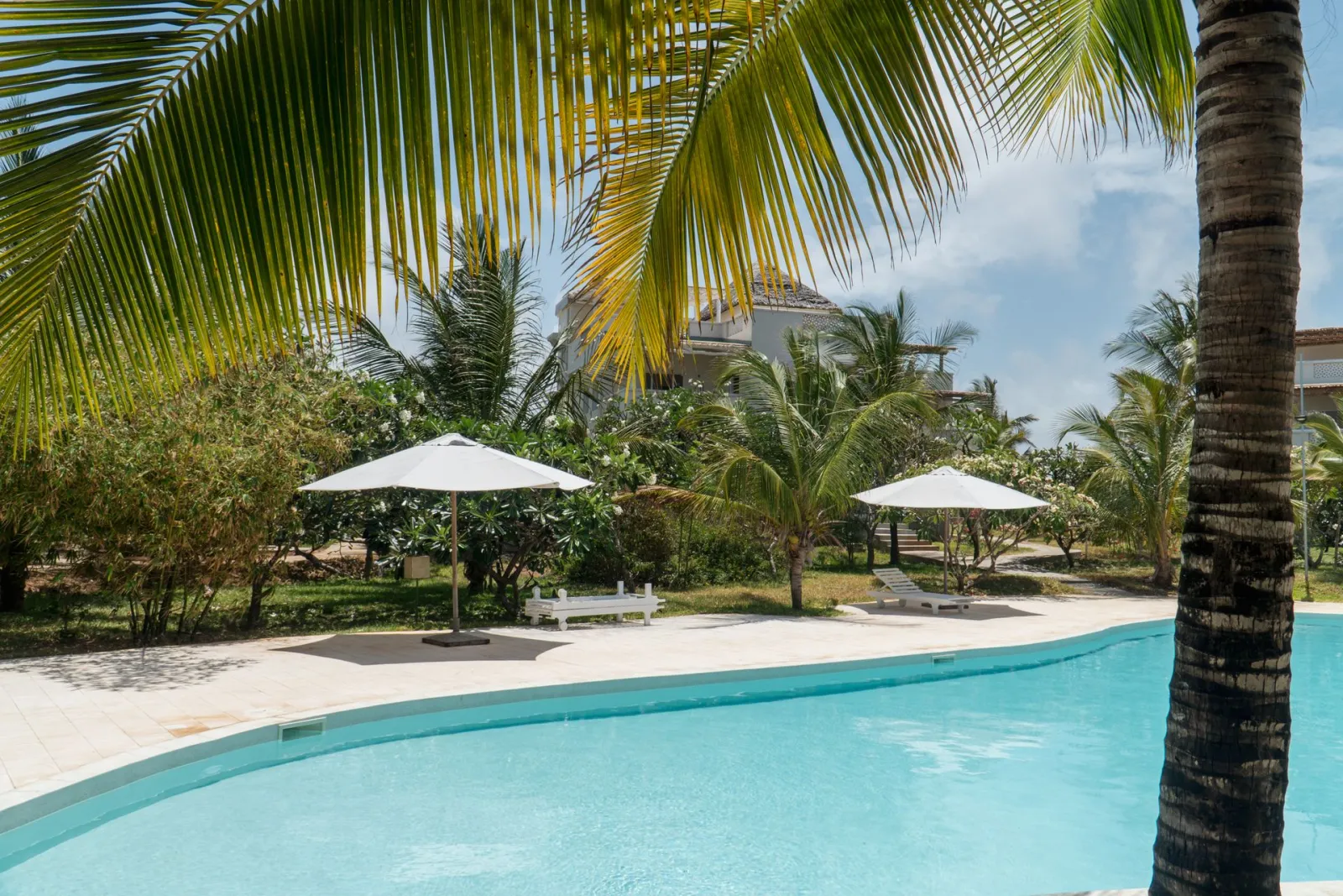 Sun loungers and umbrellas around the pool among the palms