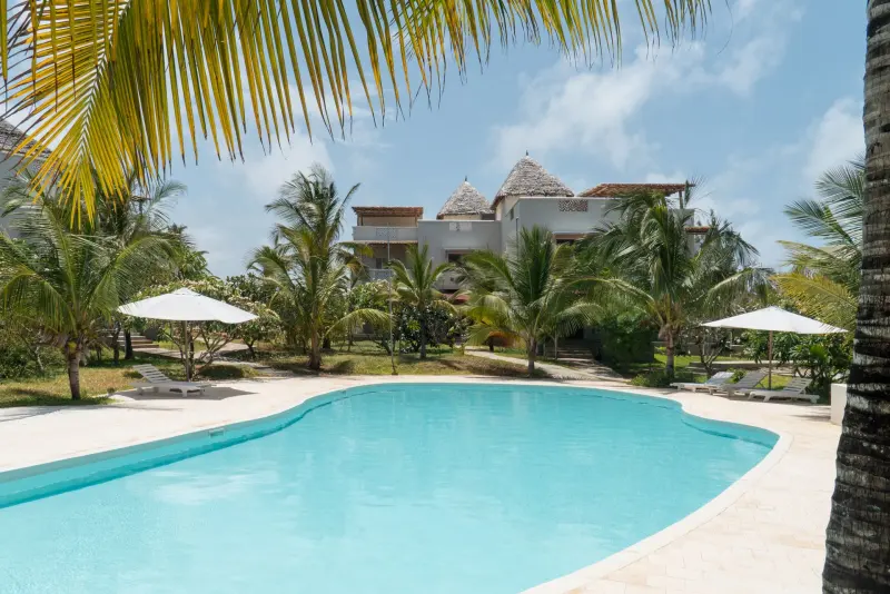 The shared pool and sun loungers among the palms