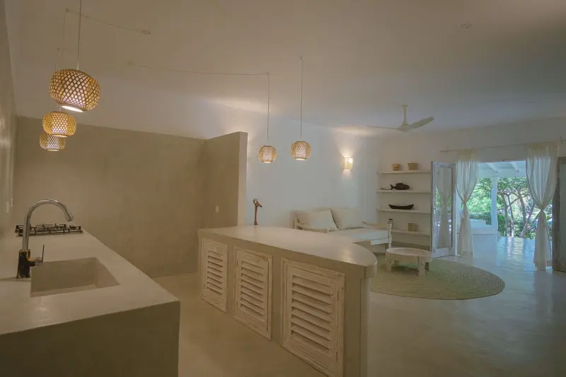 The kitchen and living area